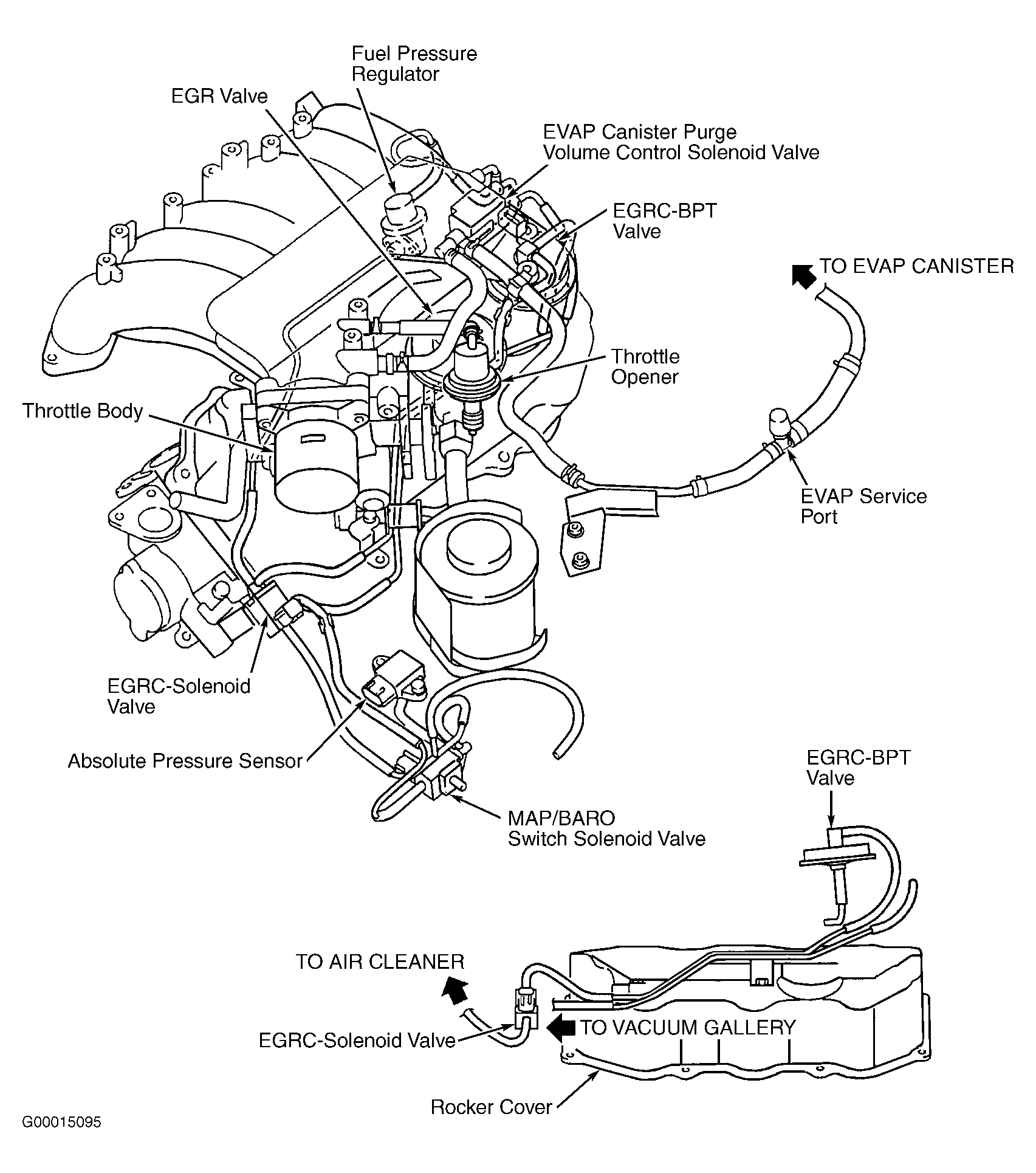 G00015095
