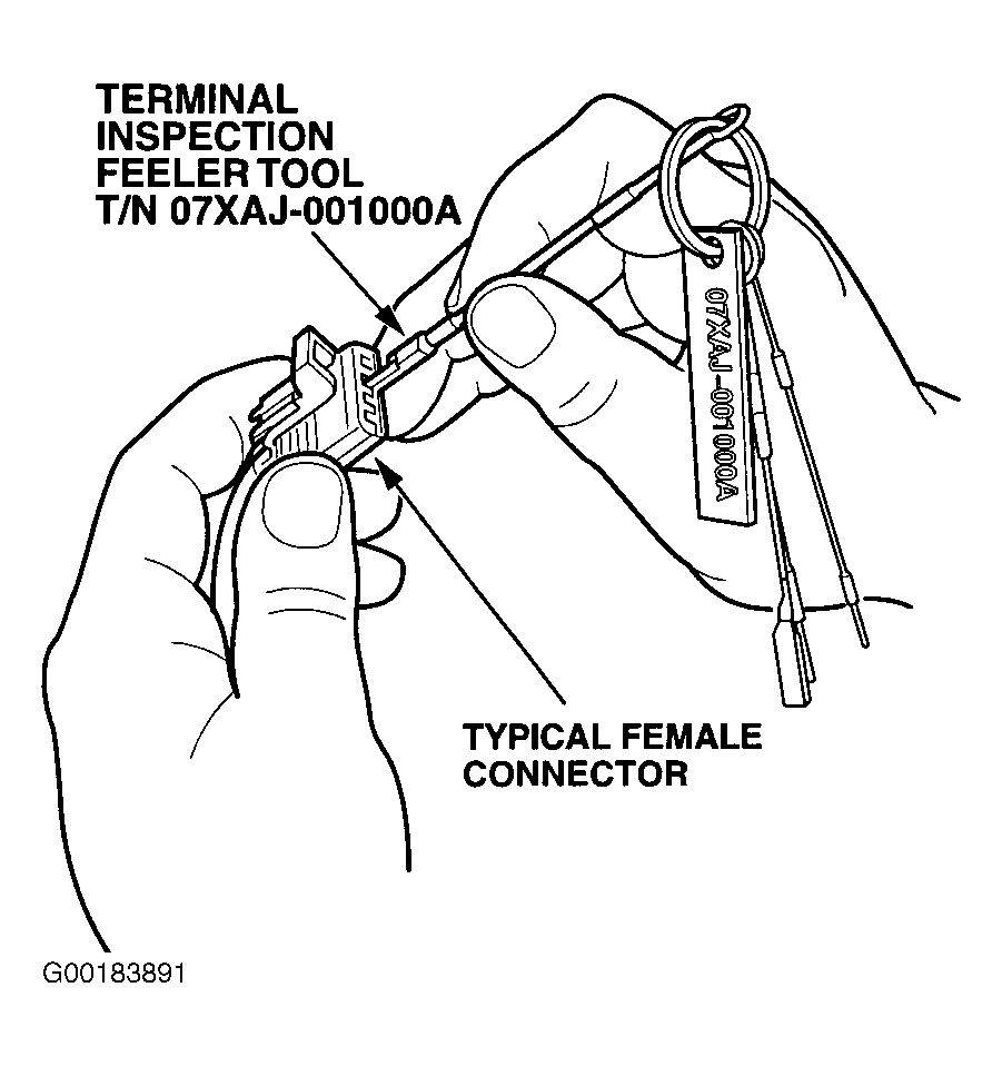 G00183891