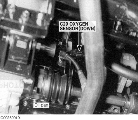 G00360019