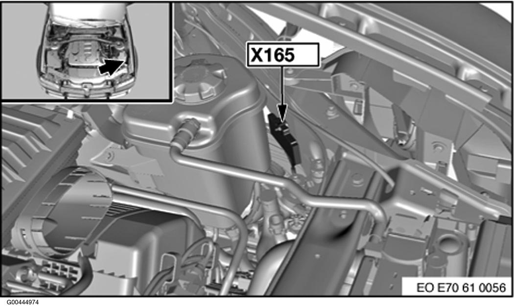 G00444974