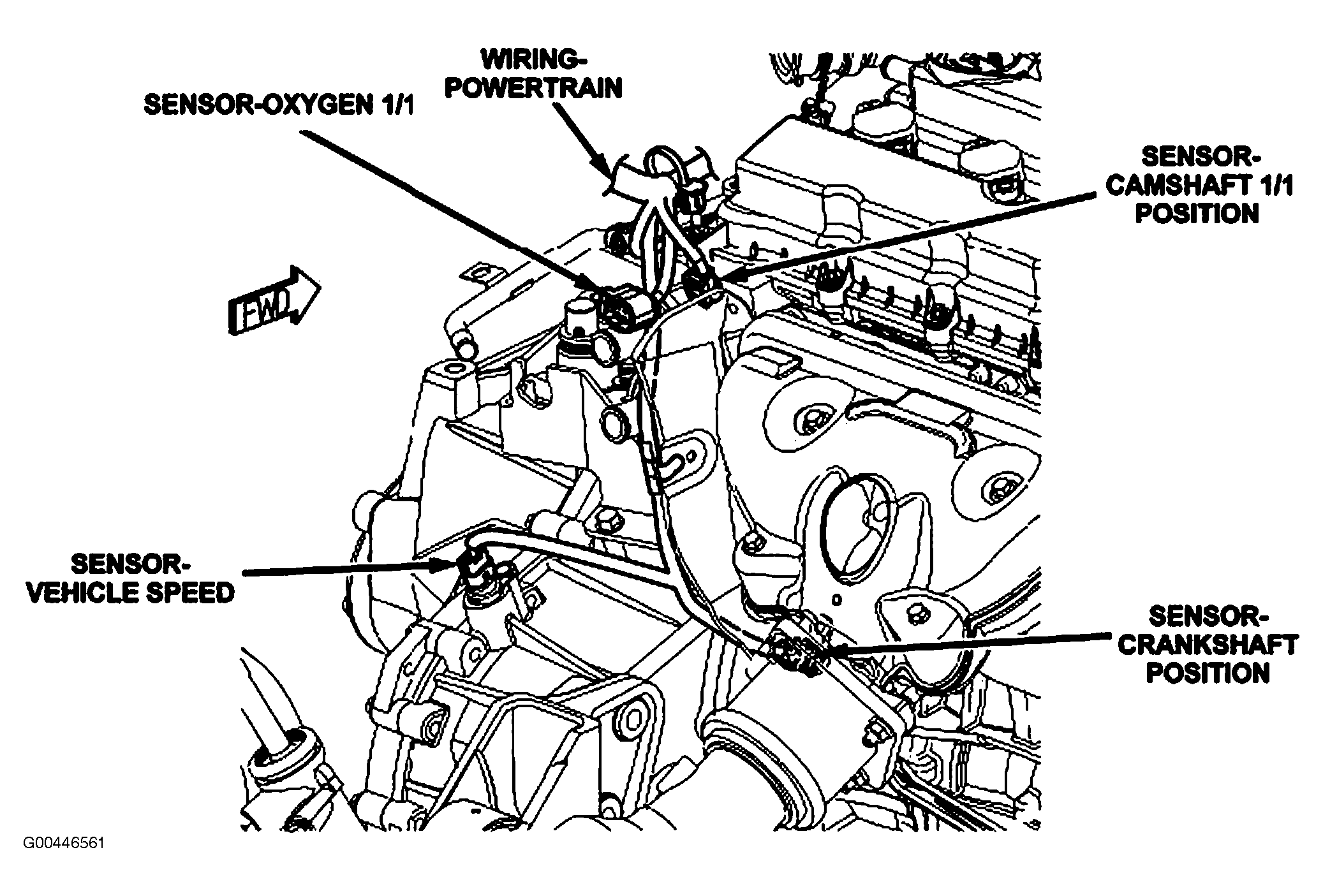 G00446561