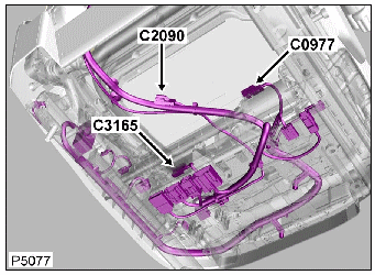 G00450996