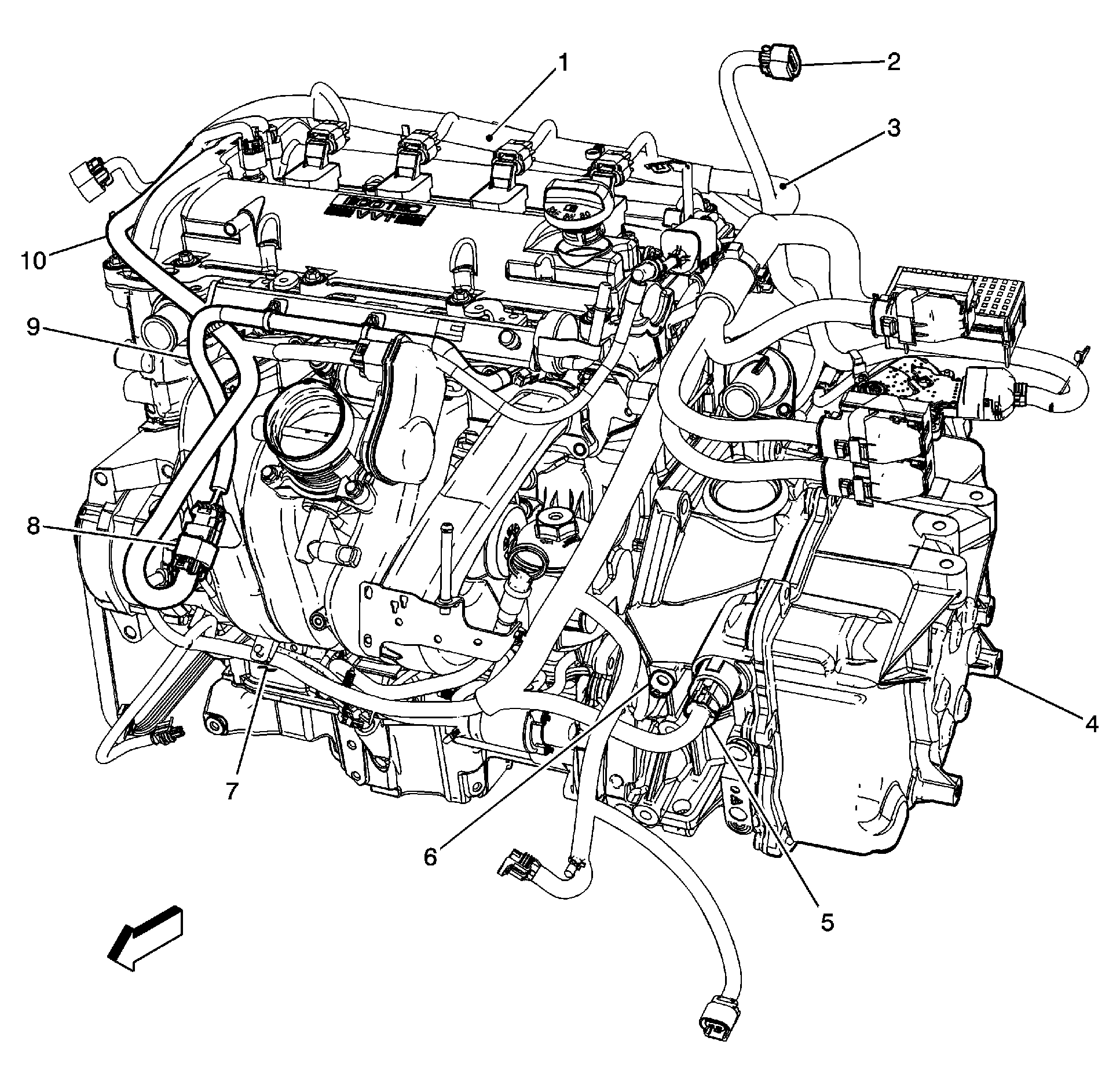 G00456495
