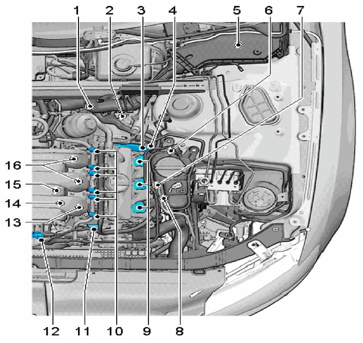 G00473356