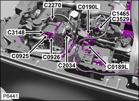 G00478752