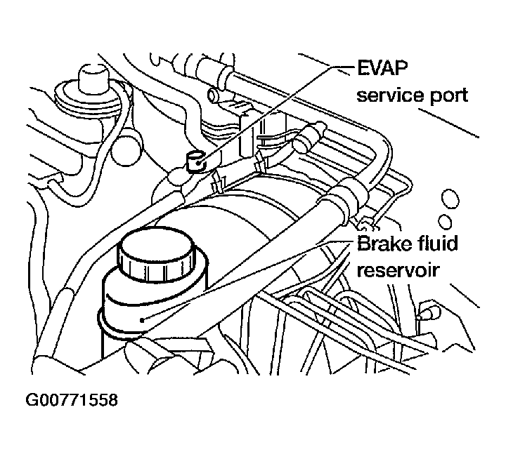 G00771558