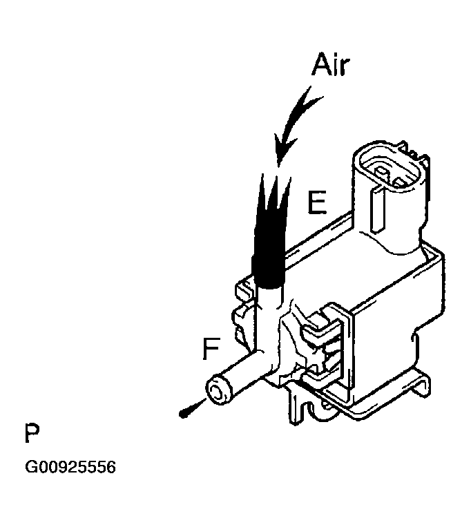 G00925556