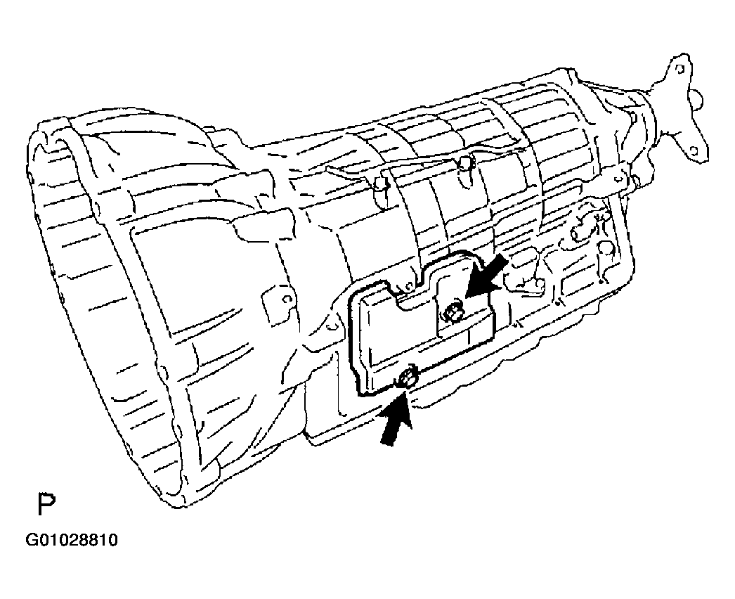 G01028810