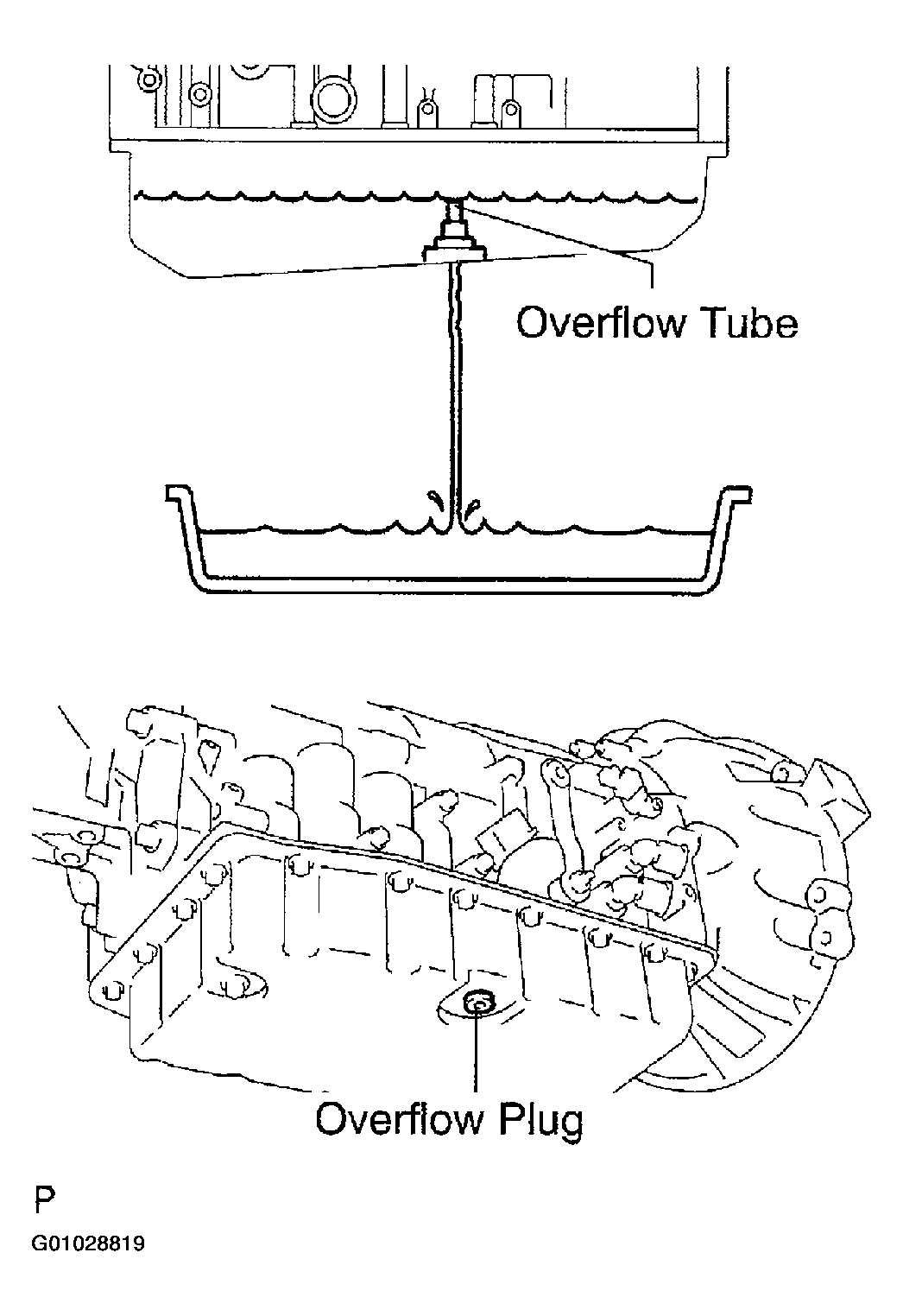 G01028819