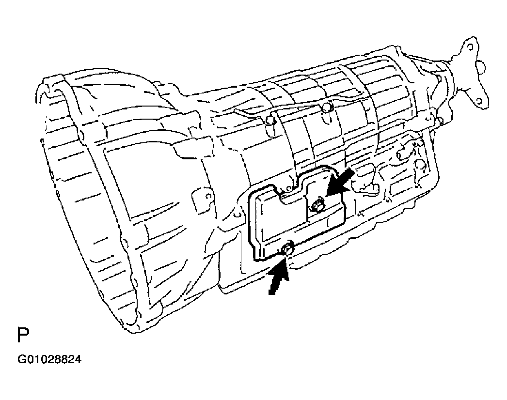 G01028824