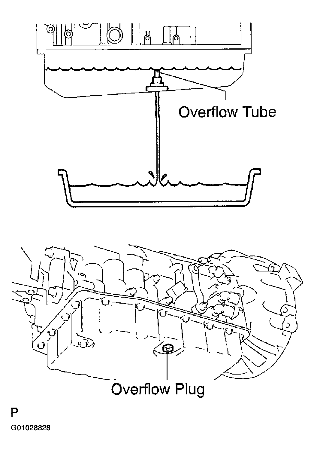 G01028828