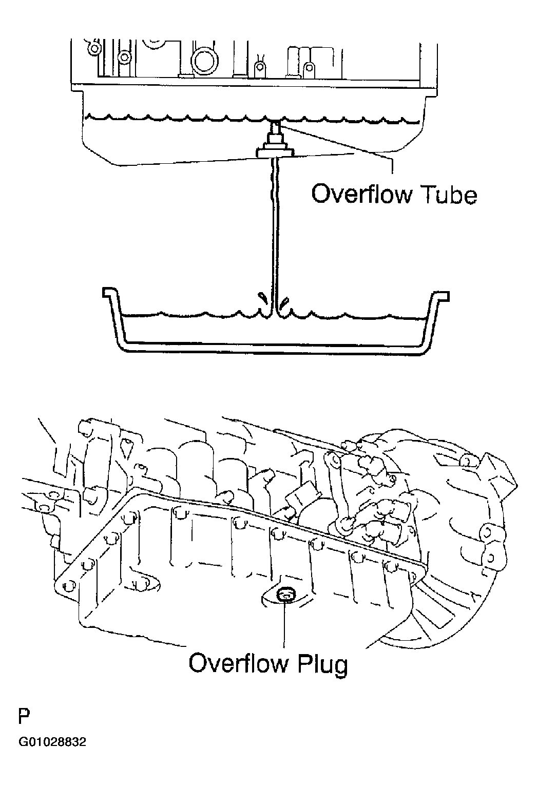 G01028832