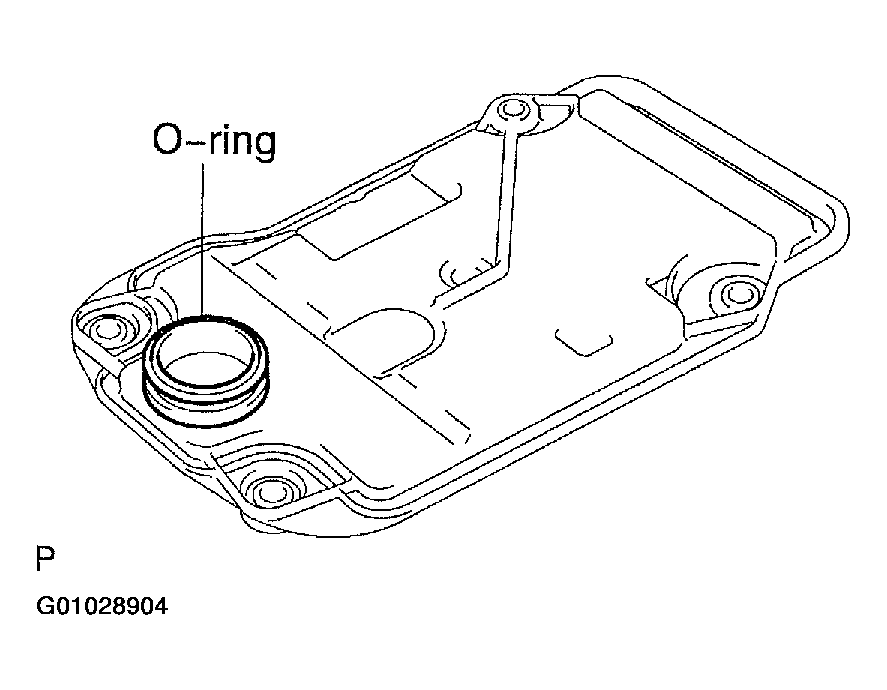 G01028904