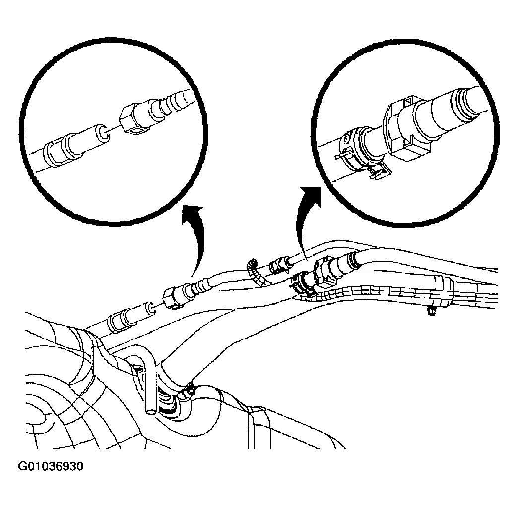G01036930