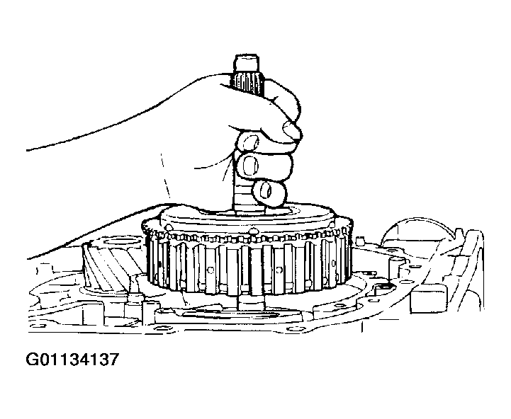 G01134137