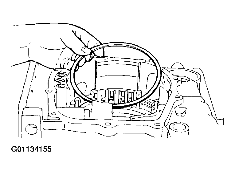 G01134155