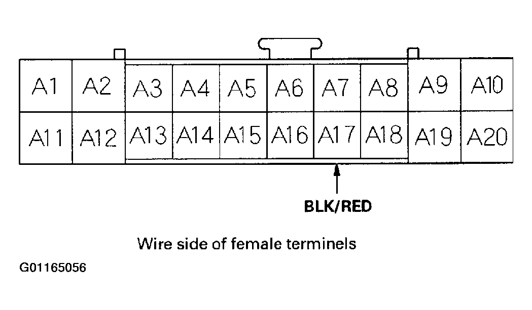 G01165056