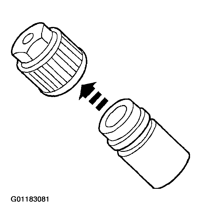 G01183081