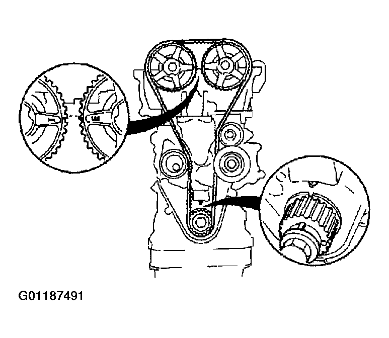 G01187491
