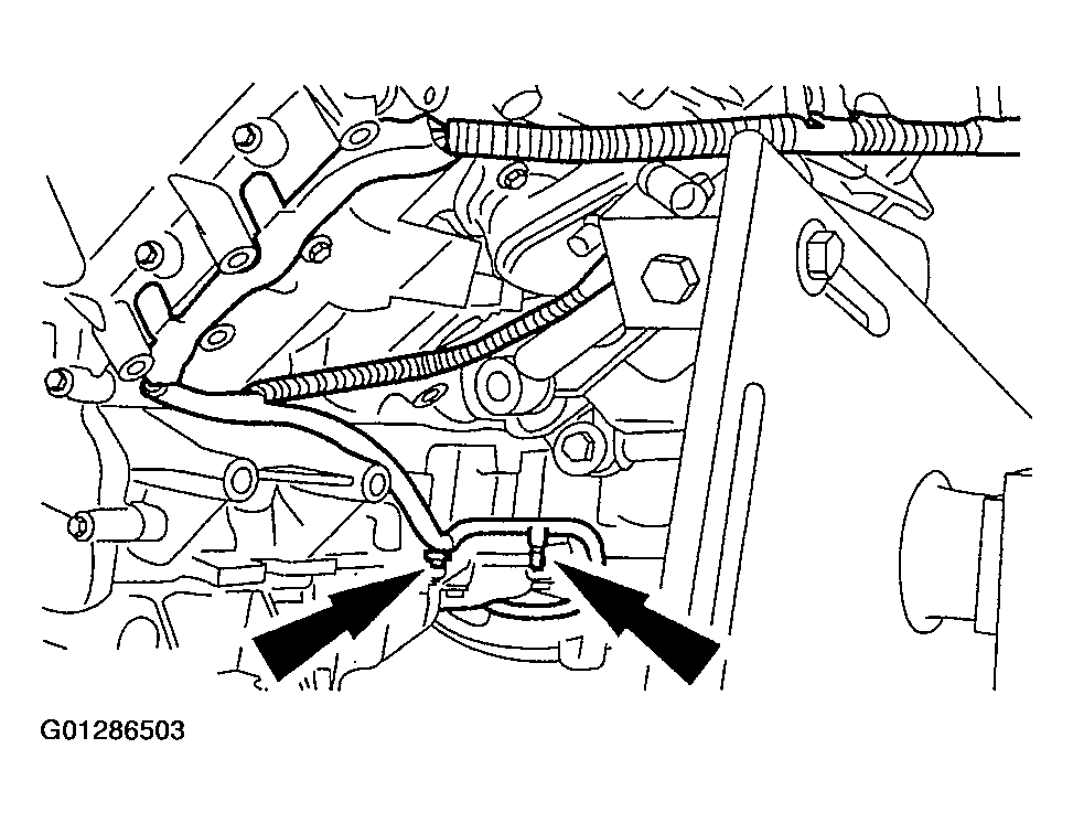 G01286503
