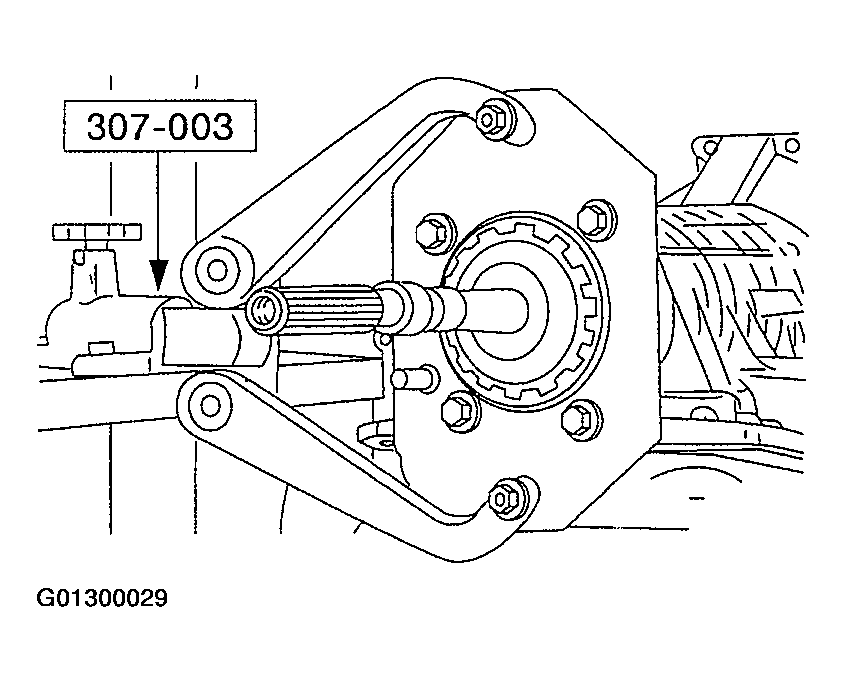 G01300029