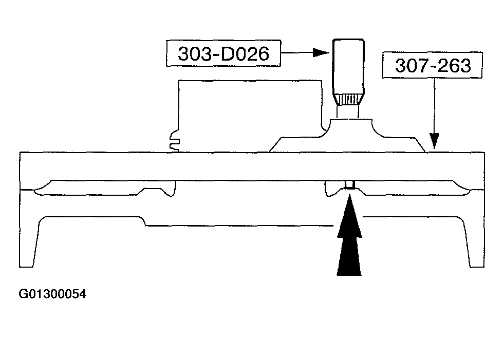 G01300054