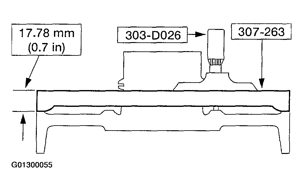 G01300055