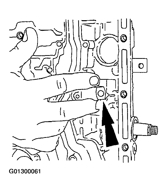 G01300061