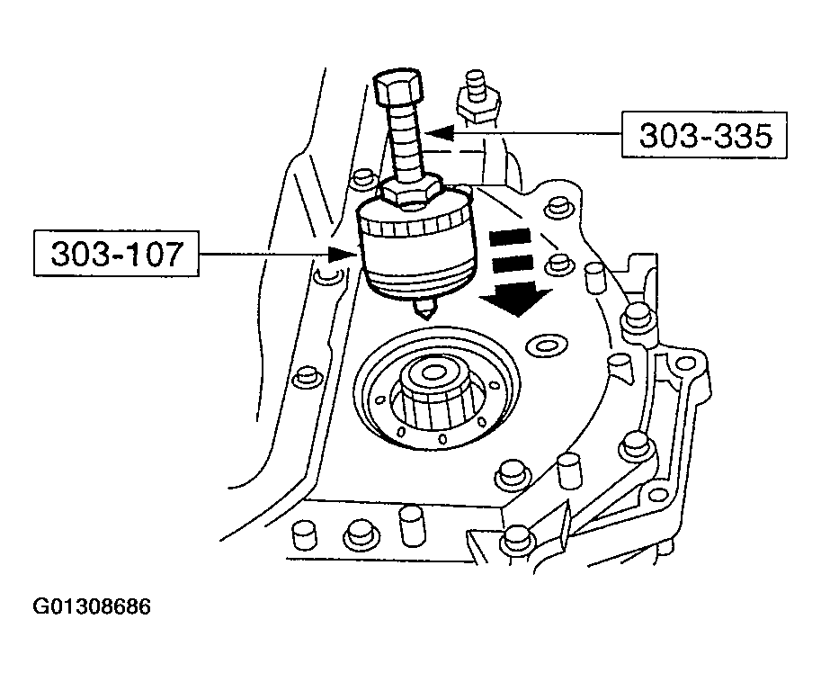 G01308686