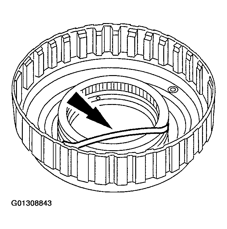 G01308843