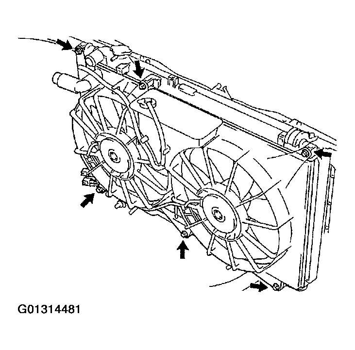 G01314481
