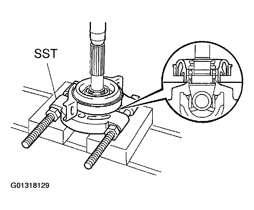G01318129