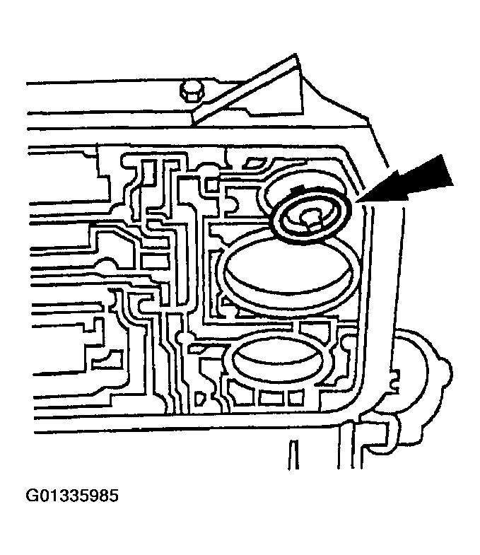 G01335985