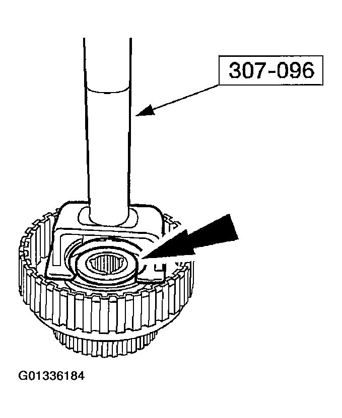 G01336184