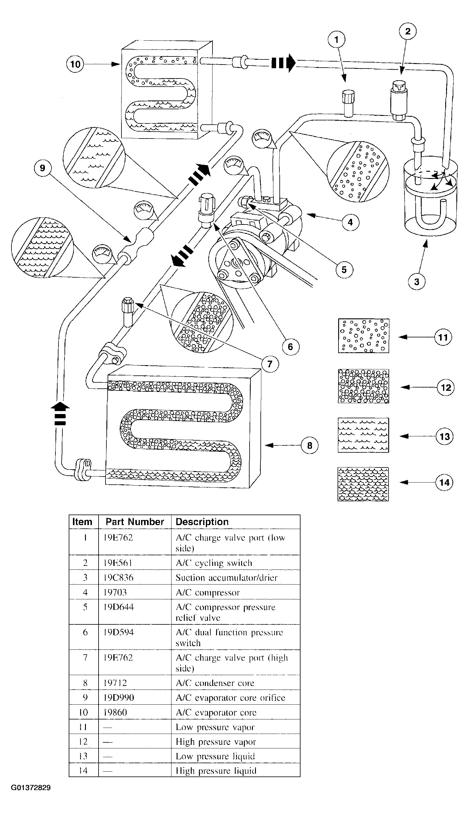 G01372829