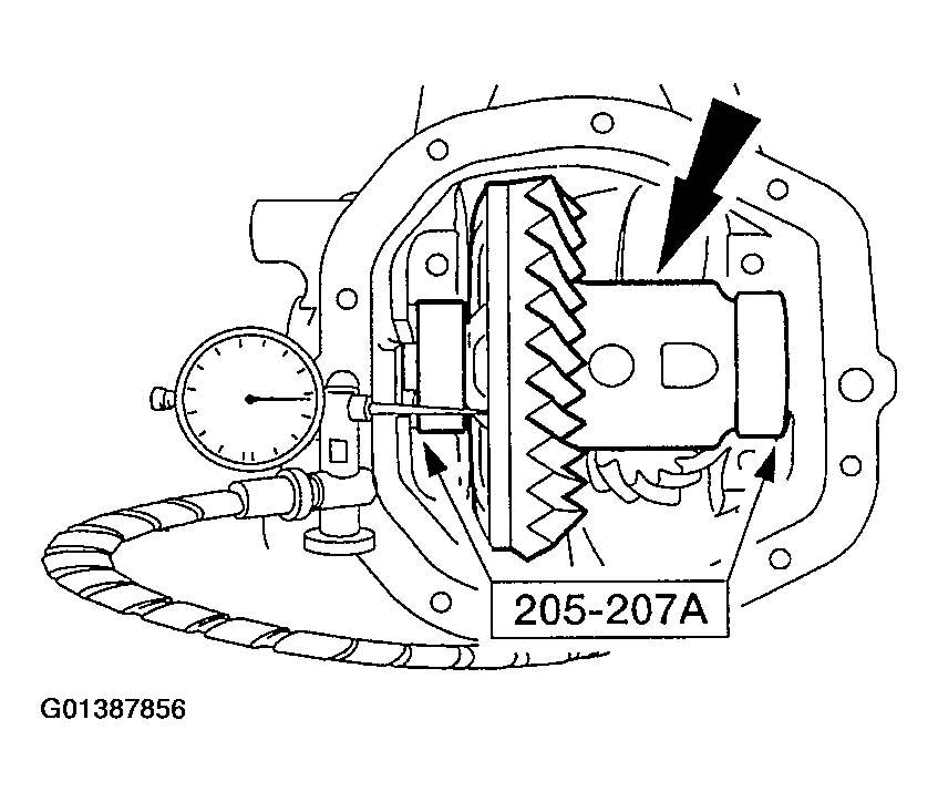 G01387856