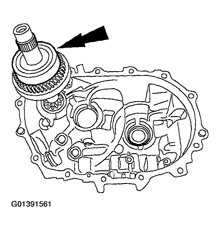 G01391561