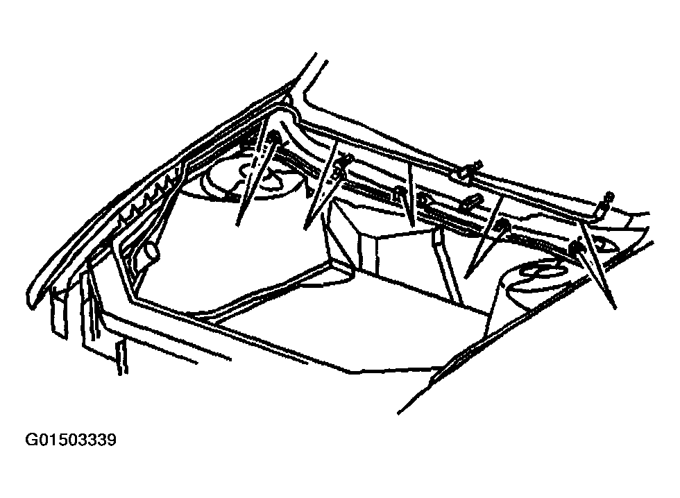 G01503339