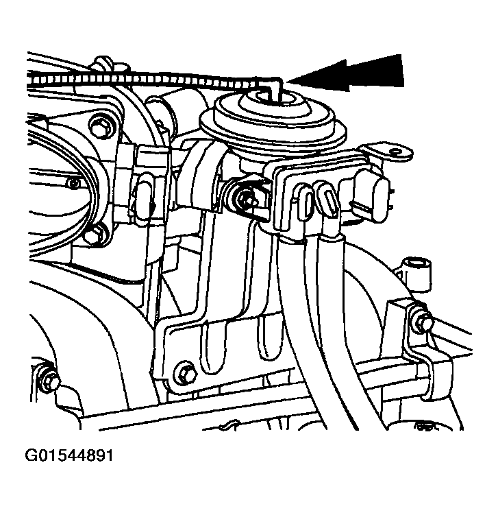 G01544891
