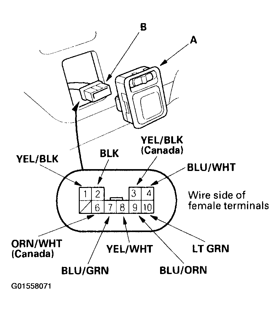 G01558071