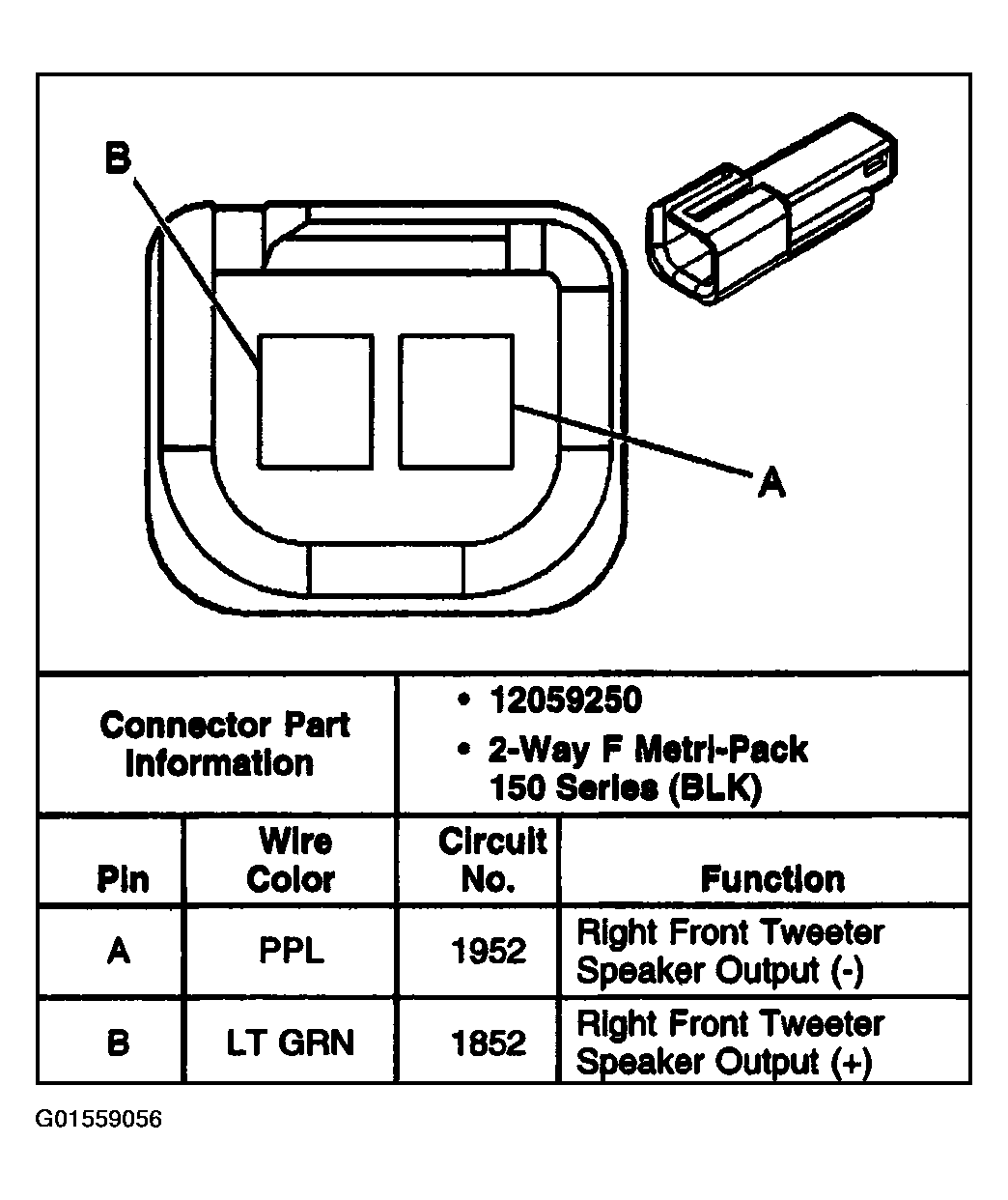 G01559056