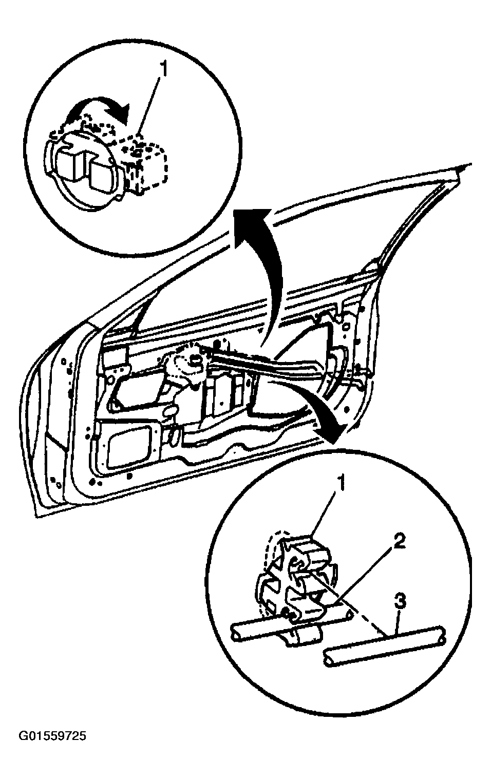 G01559725