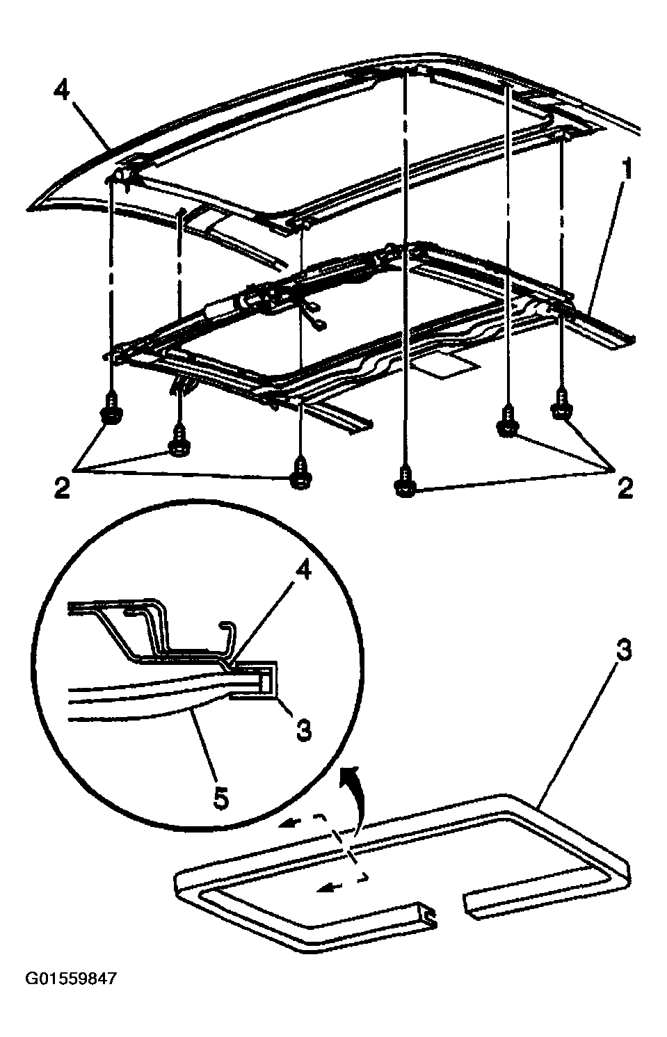 G01559847