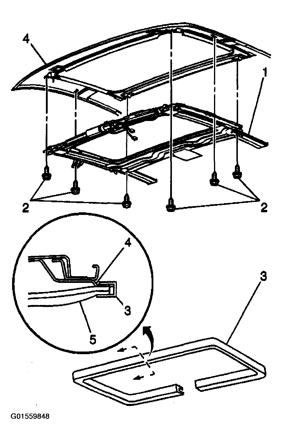 G01559848