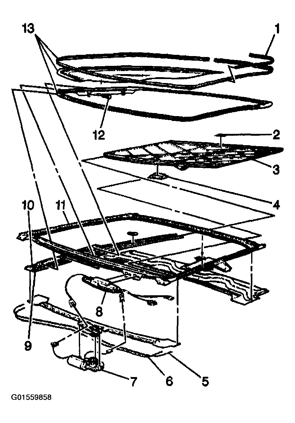G01559858