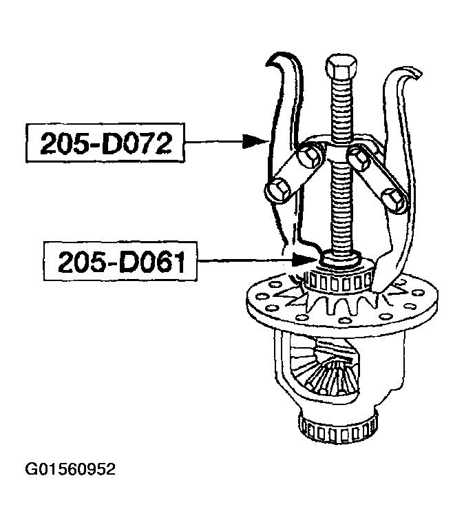G01560952
