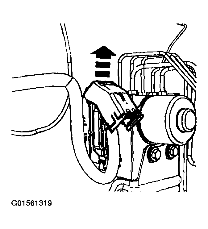 G01561319