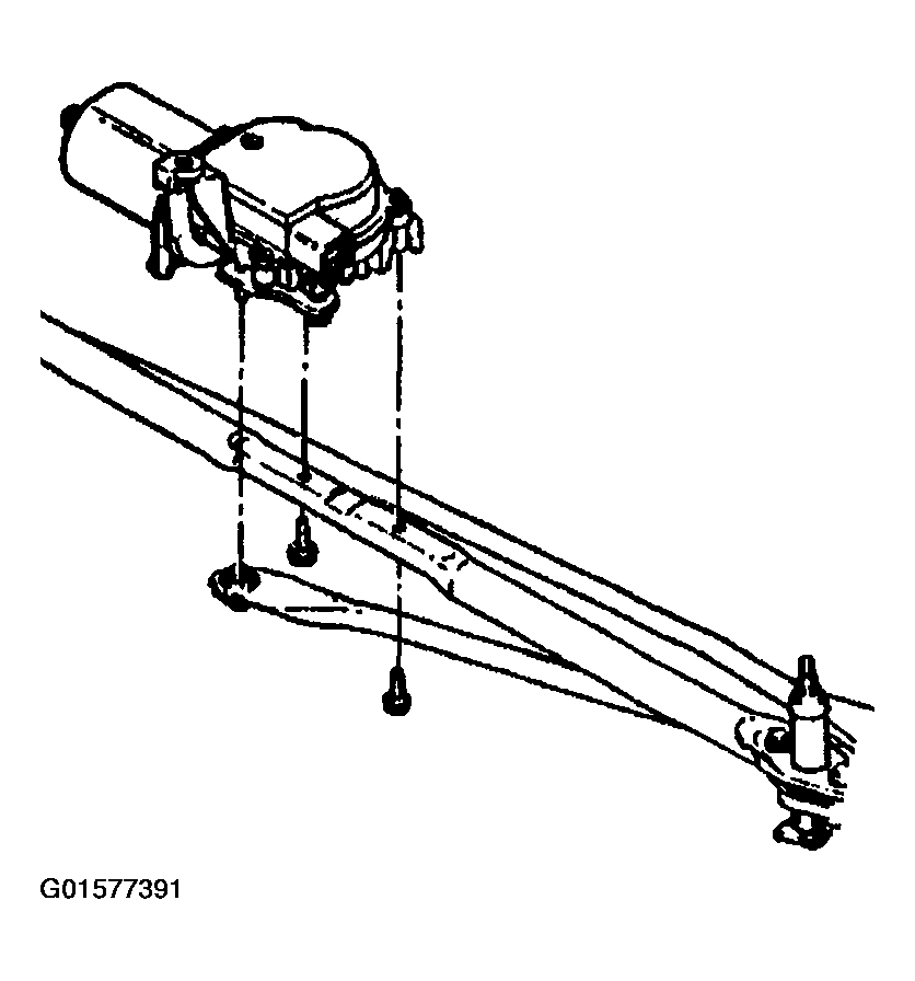 G01577391