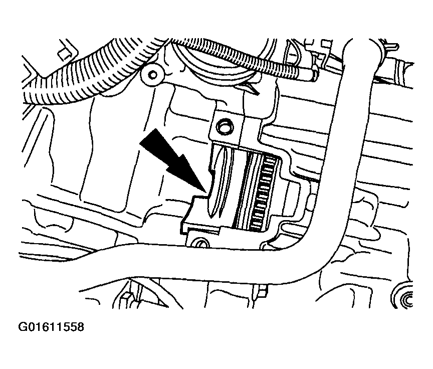 G01611558