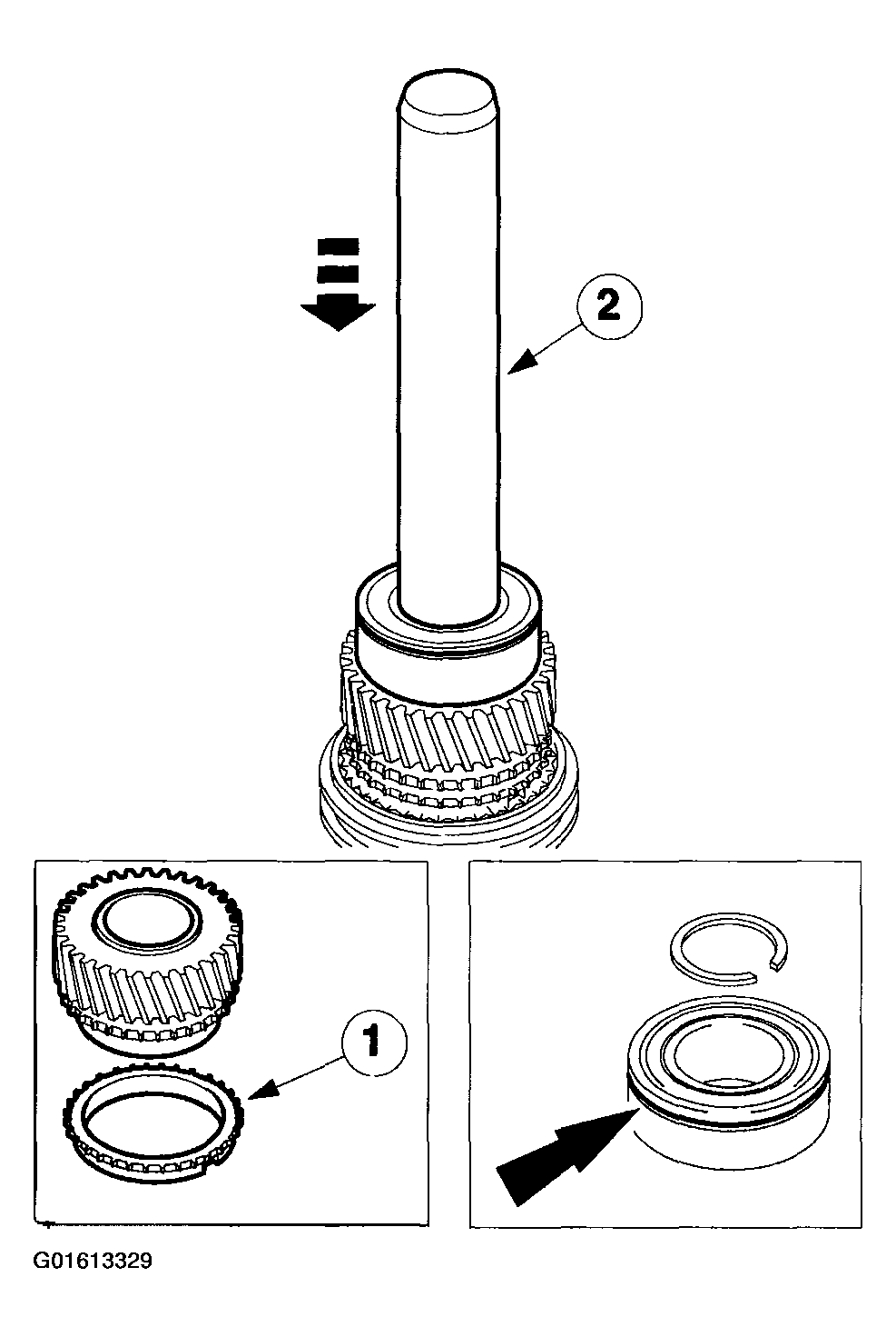 G01613329